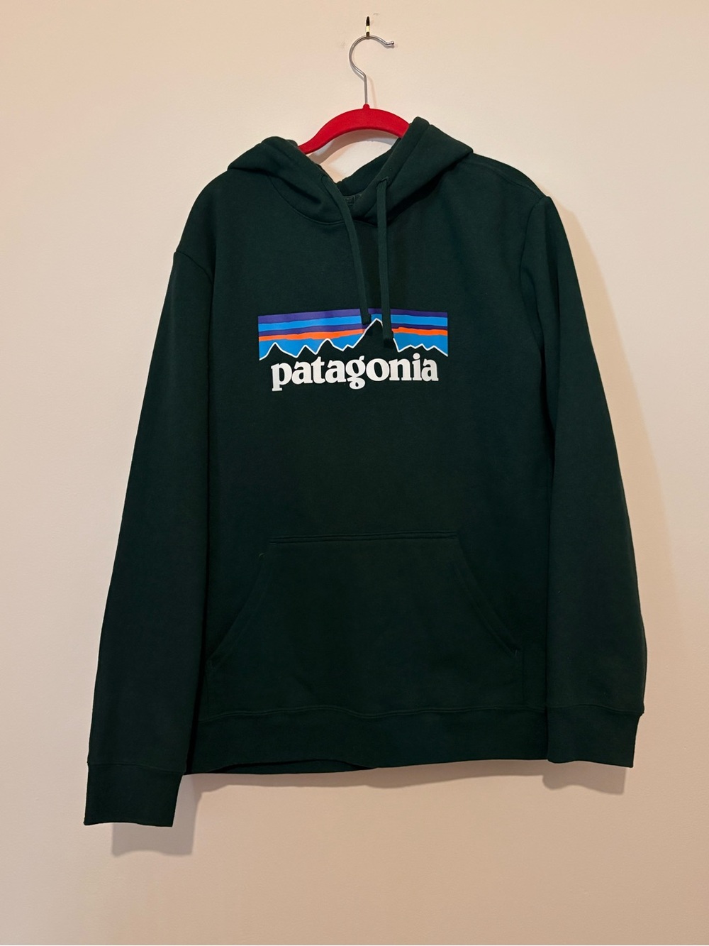 Patagonia Unisex Forest Green Logo Hoodie